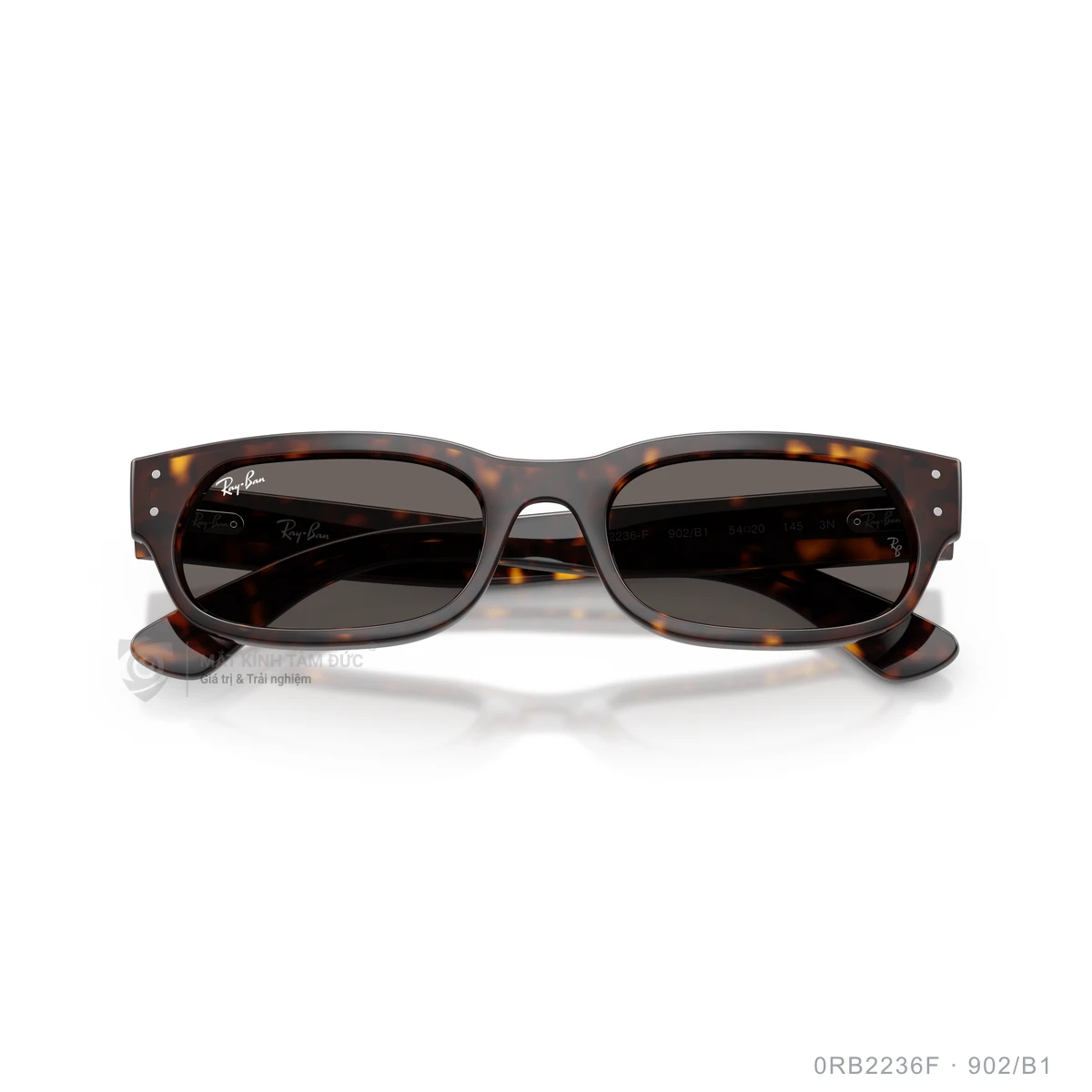 Kính mát Rayban 0RB2236F - Ảnh 18