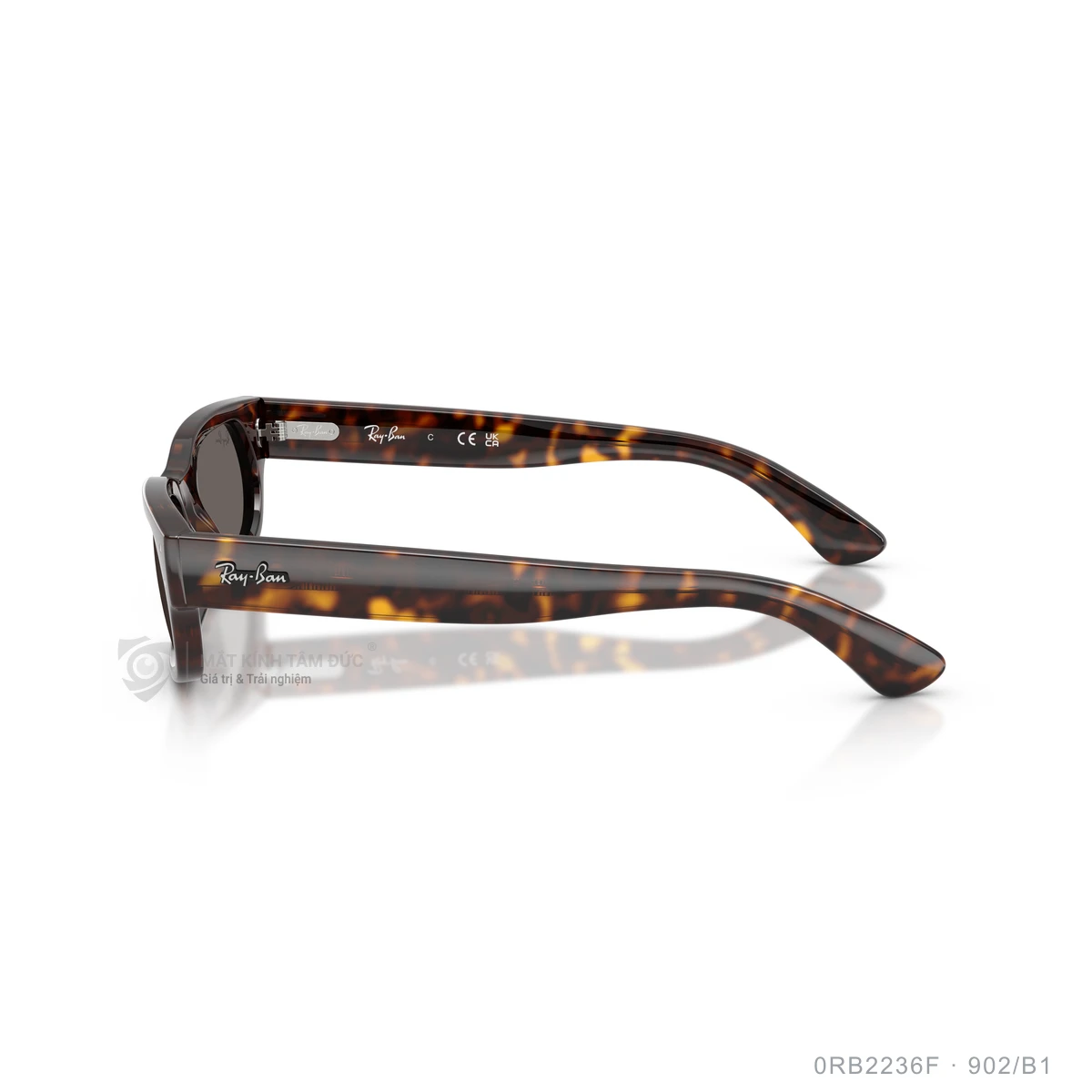 Kính mát Rayban 0RB2236F - Ảnh 19