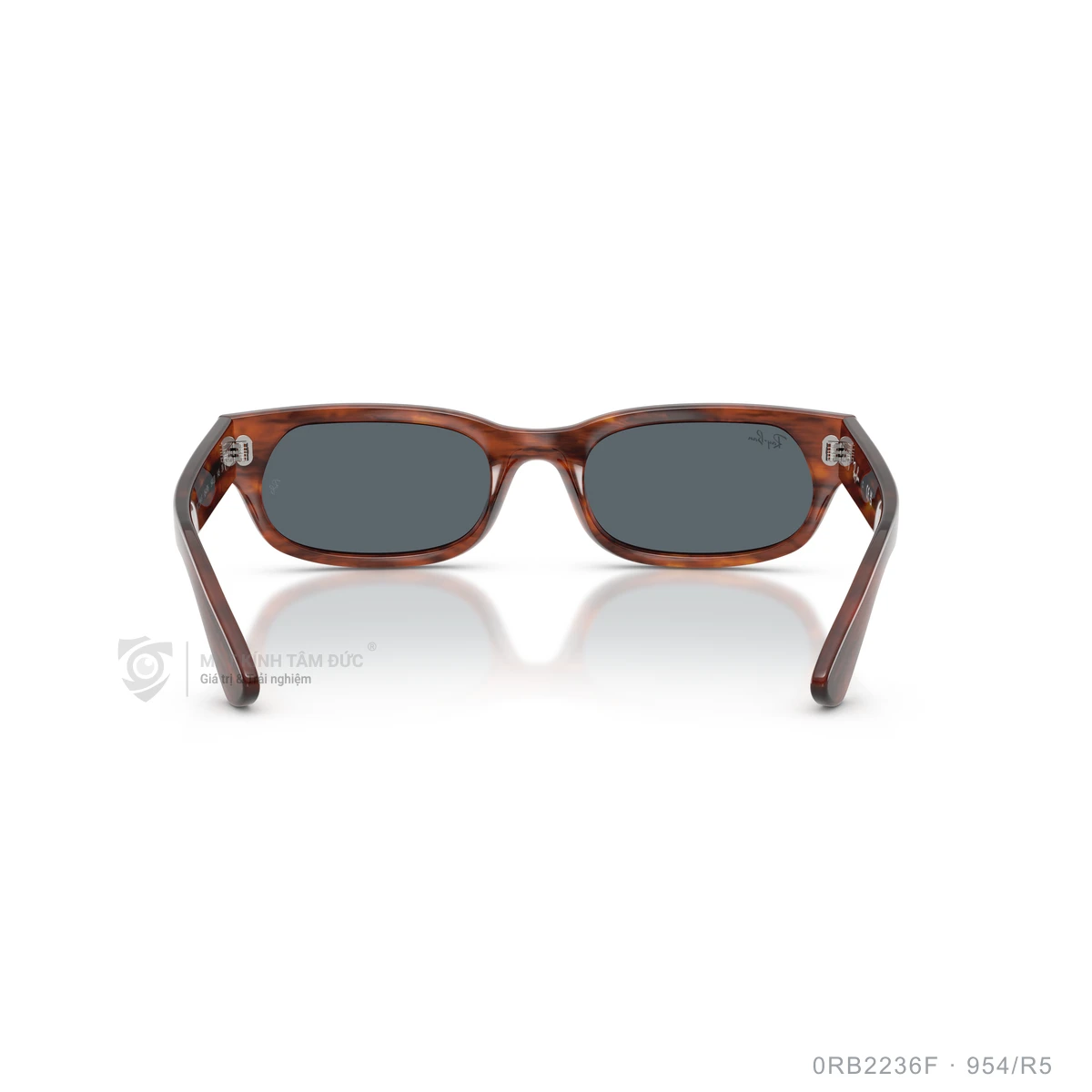 Kính mát Rayban 0RB2236F - Ảnh 25