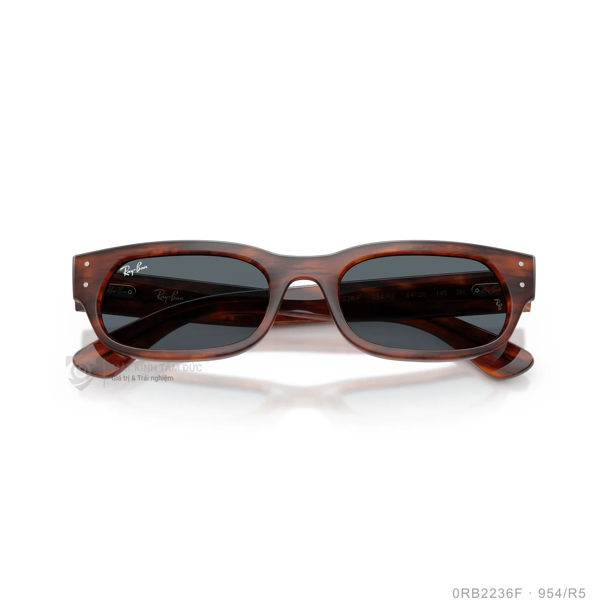 Kính mát Rayban 0RB2236F - Ảnh 23