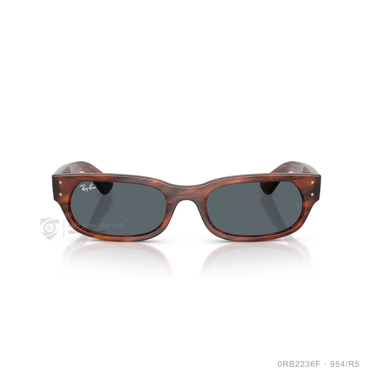 Kính mát Rayban 0RB2236F - Ảnh 21