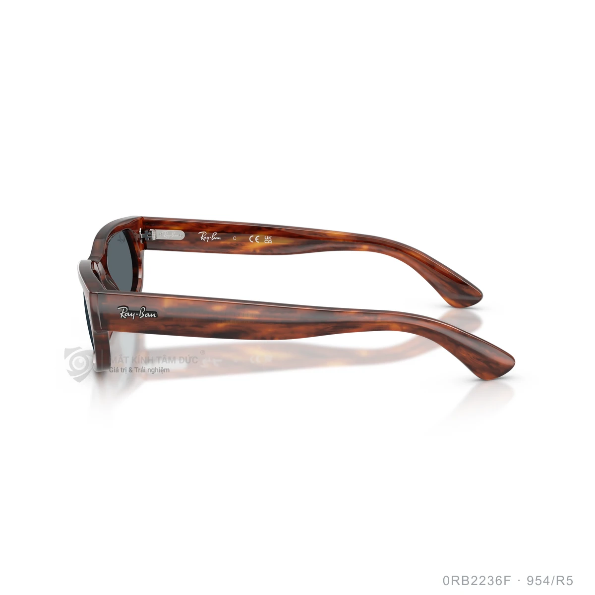 Kính mát Rayban 0RB2236F - Ảnh 24