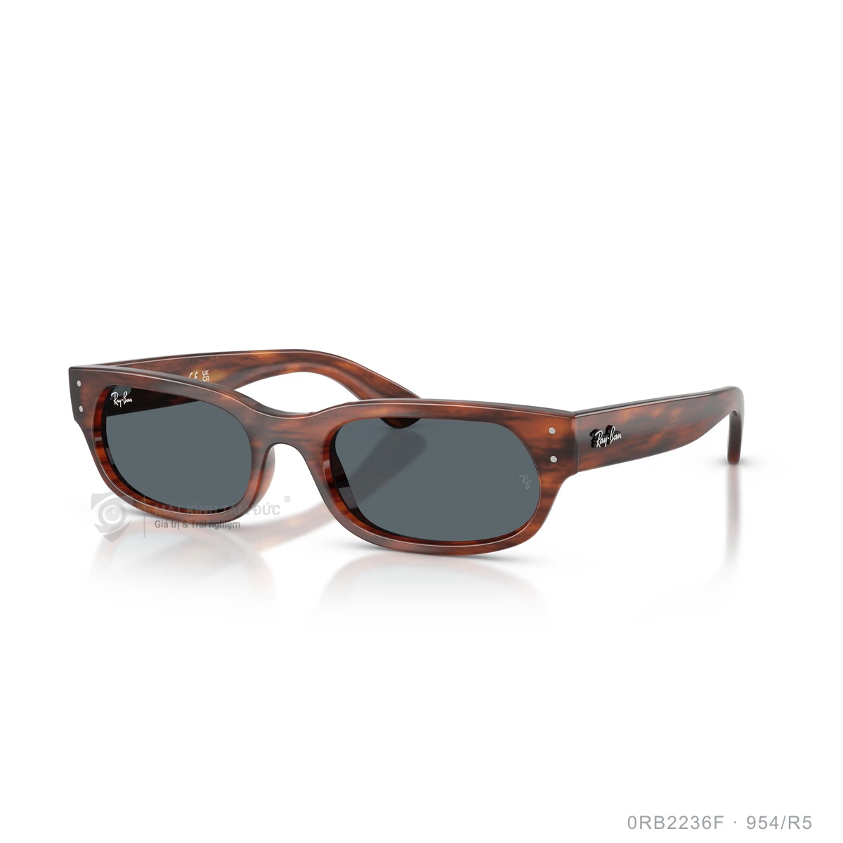 Kính mát Rayban 0RB2236F - Ảnh 22