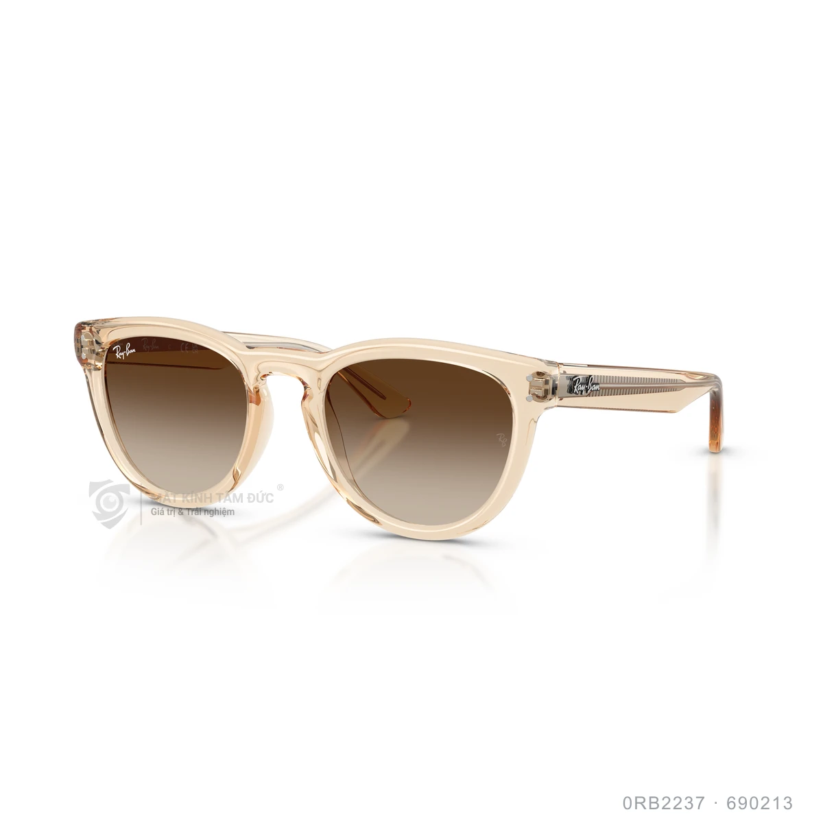 Kính mát Rayban 0RB2237 - Ảnh 12