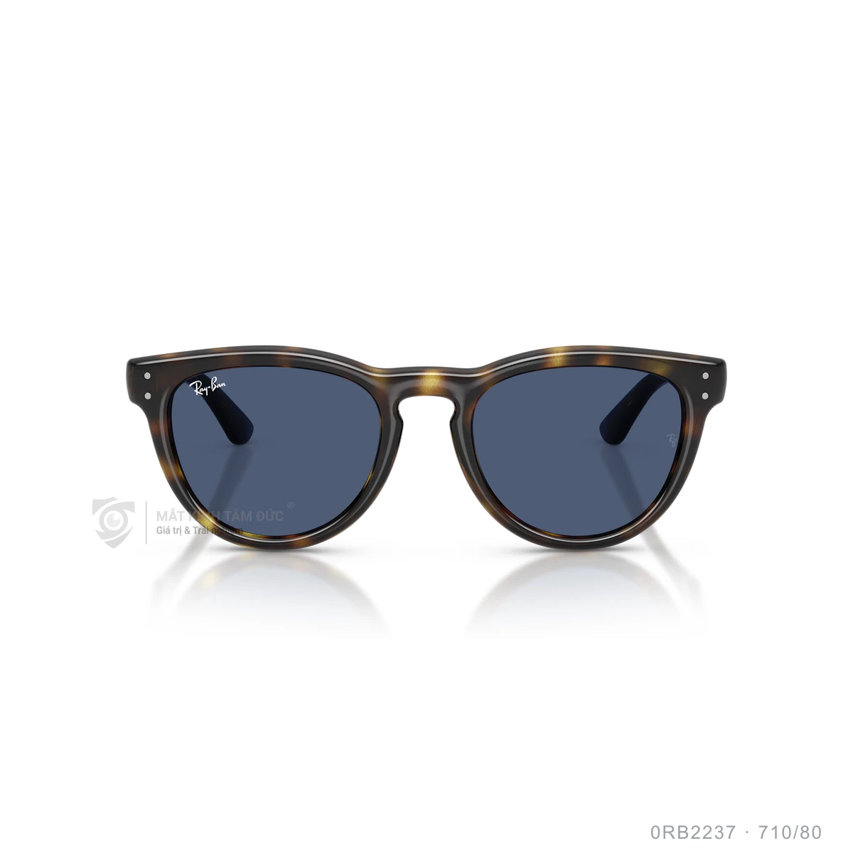 Kính mát Rayban 0RB2237 - Ảnh 16