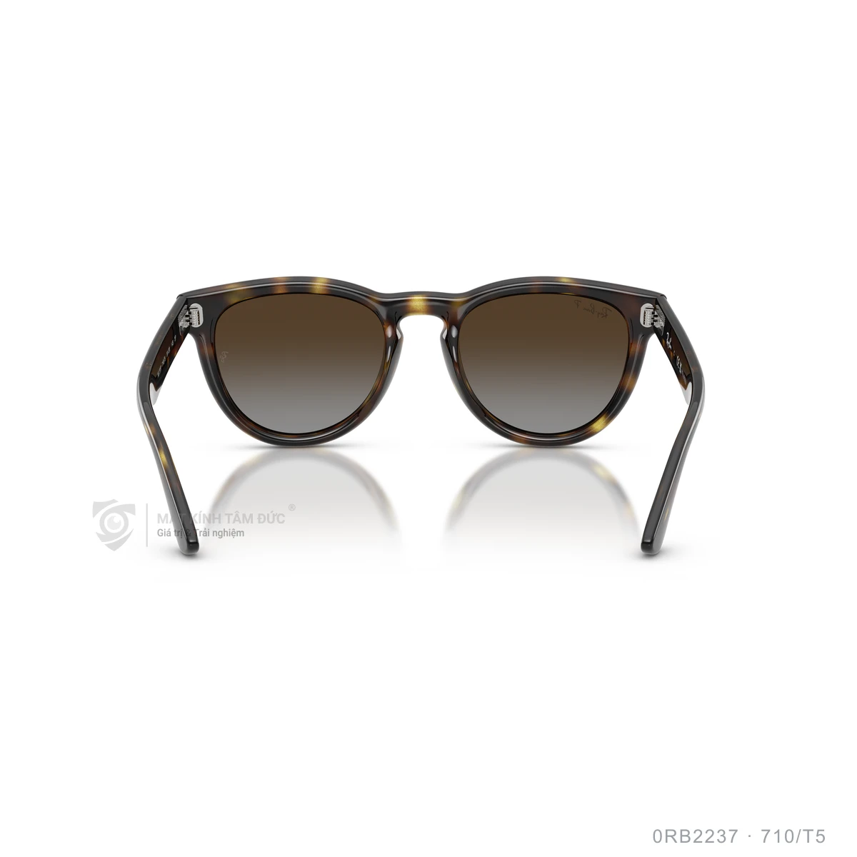 Kính mát Rayban 0RB2237 - Ảnh 25