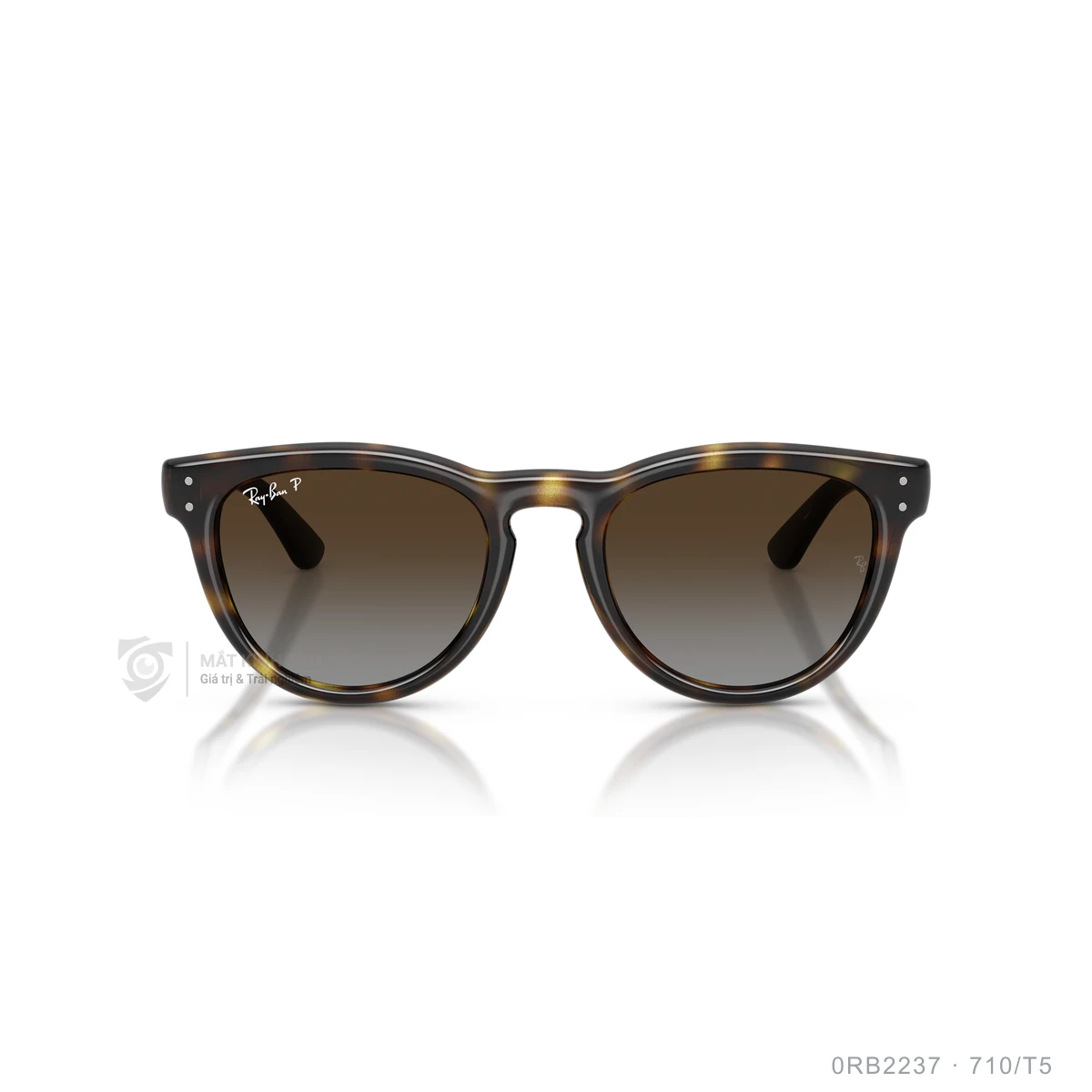 Kính mát Rayban 0RB2237 - Ảnh 21