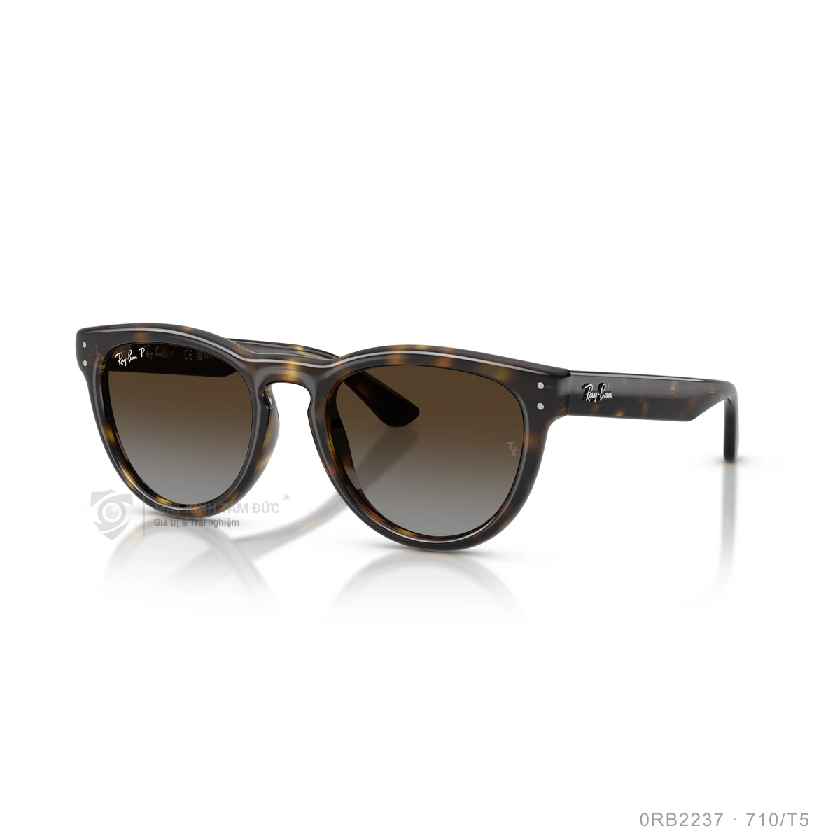 Kính mát Rayban 0RB2237 - Ảnh 22