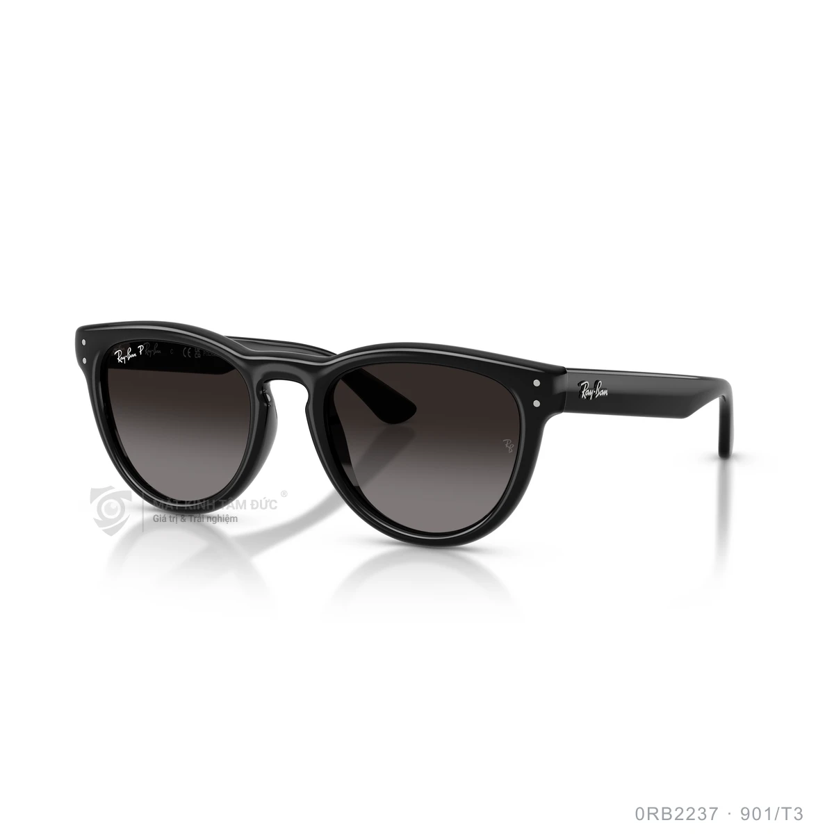Kính mát Rayban 0RB2237 - Ảnh 32