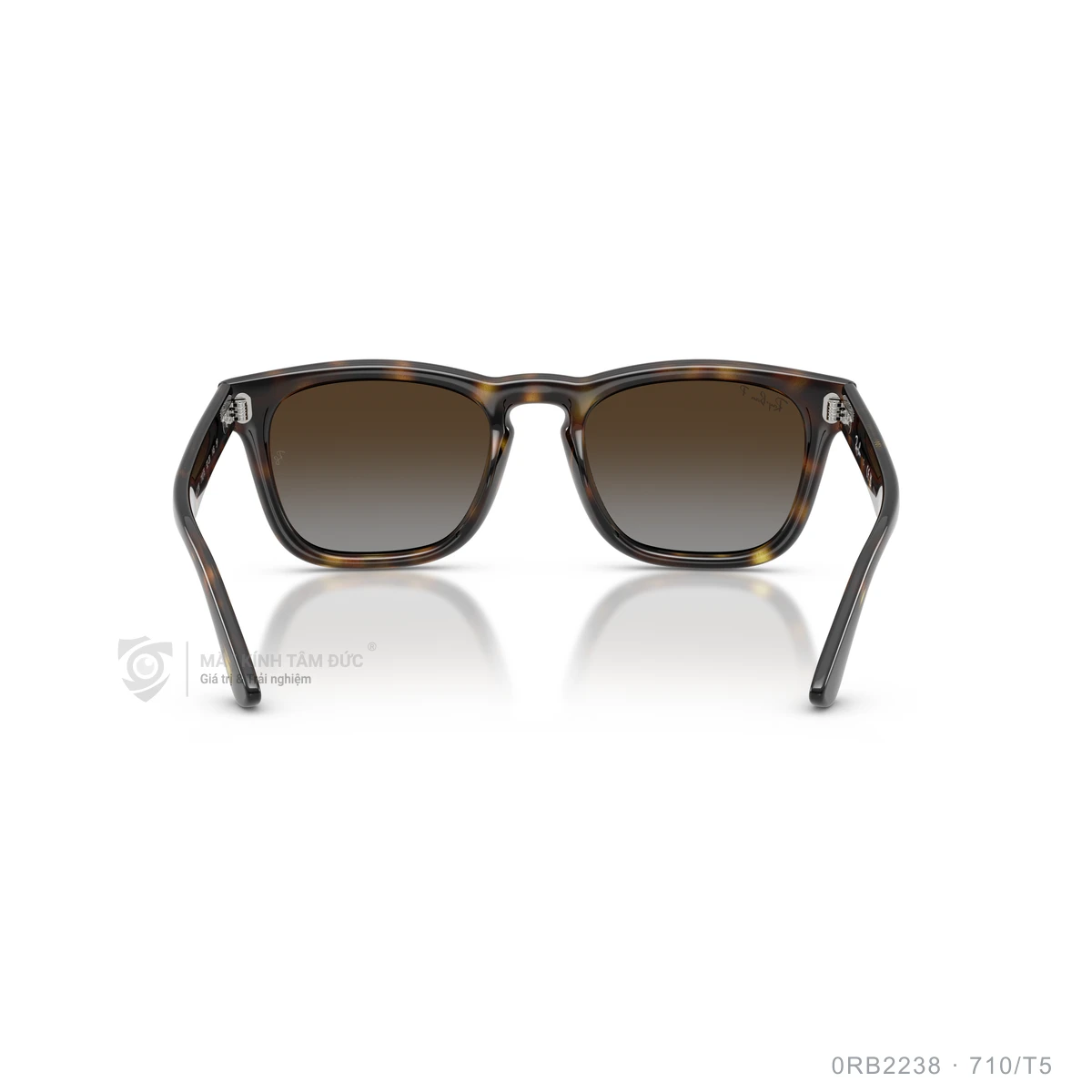 Kính mát Rayban 0RB2238 - Ảnh 20