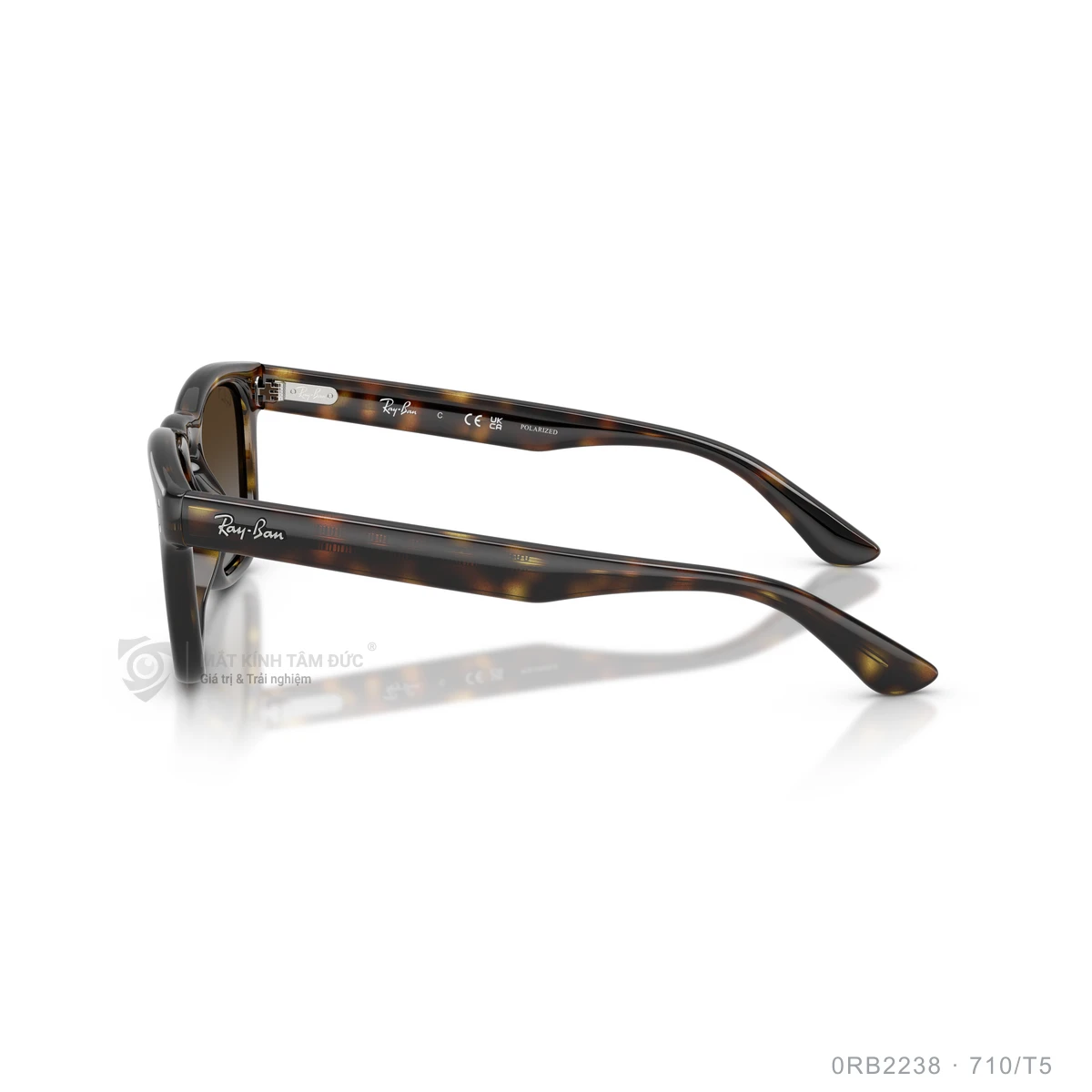 Kính mát Rayban 0RB2238 - Ảnh 19