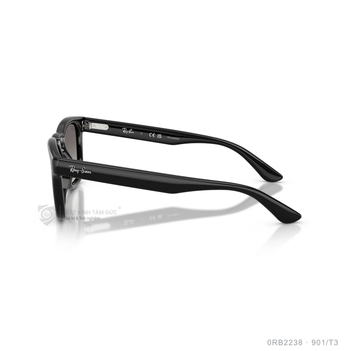 Kính mát Rayban 0RB2238 - Ảnh 29