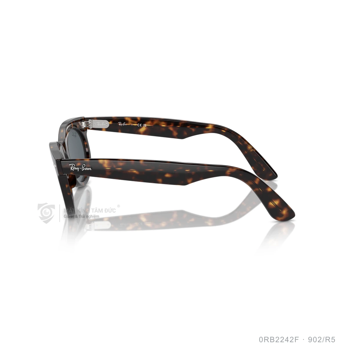 Kính mát Rayban 0RB2242F - Ảnh 19
