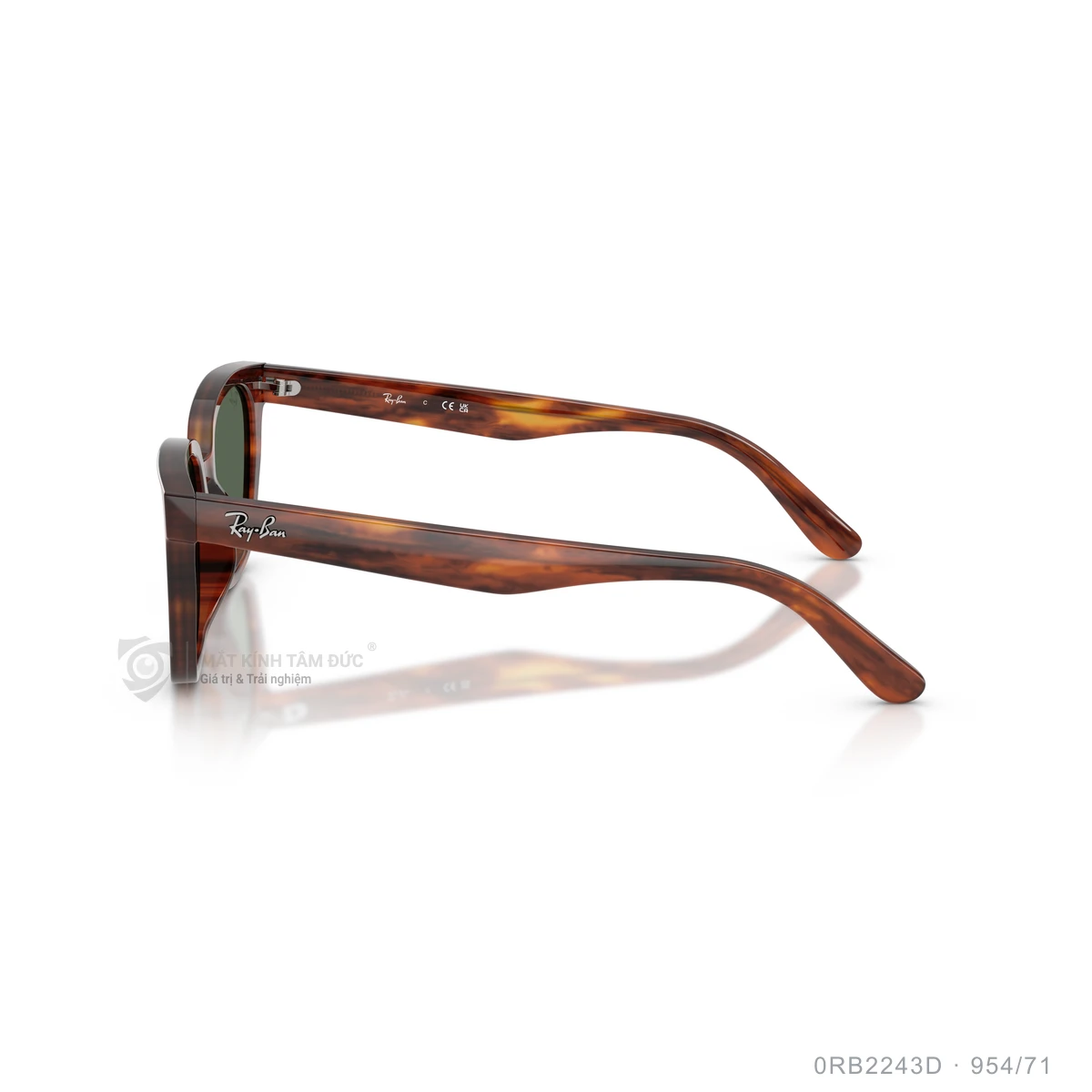 Kính mát Rayban 0RB2243D - Ảnh 24