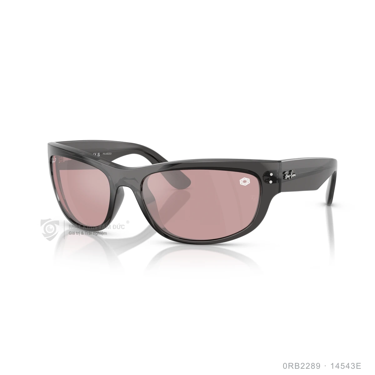 Chi tiết góc nghiêng Kính mát Rayban 0RB2289