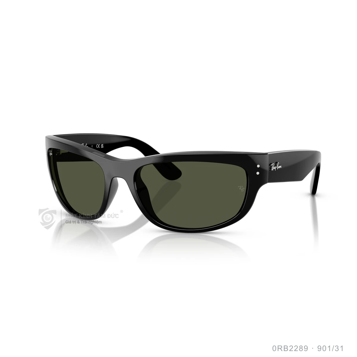 Kính mát Rayban 0RB2289 - Ảnh 12