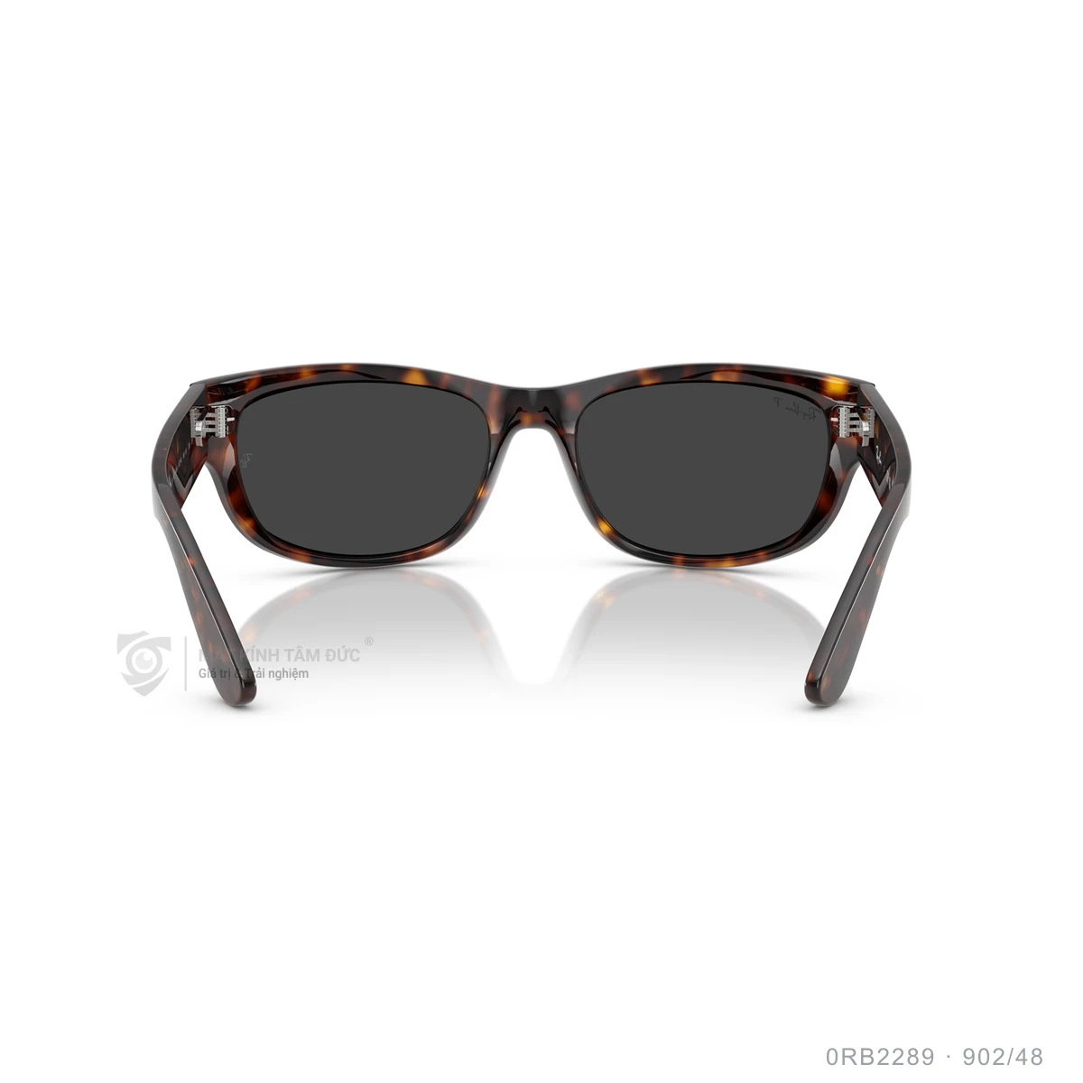 Kính mát Rayban 0RB2289 - Ảnh 20