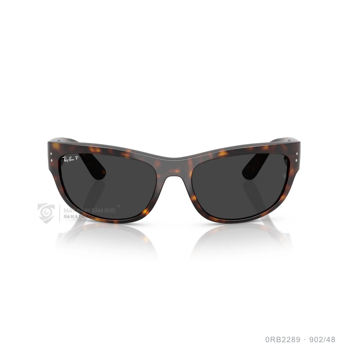 Kính mát Rayban 0RB2289 - Ảnh 16