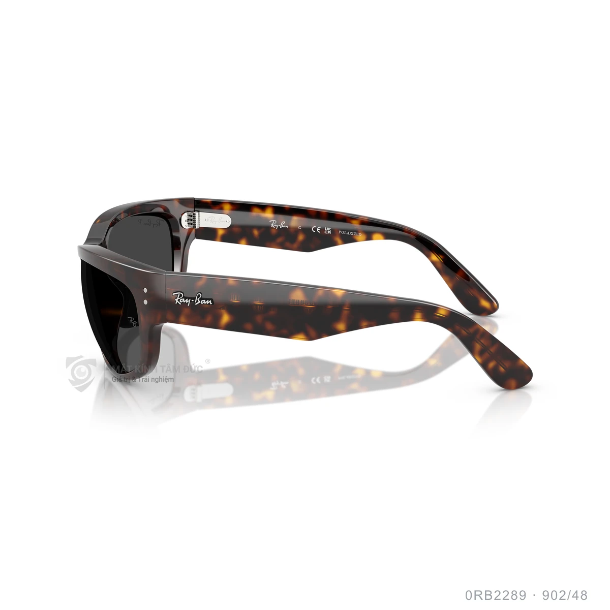 Kính mát Rayban 0RB2289 - Ảnh 19