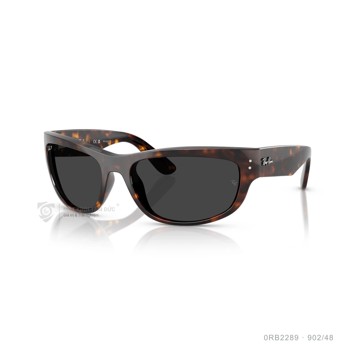 Kính mát Rayban 0RB2289 - Ảnh 17