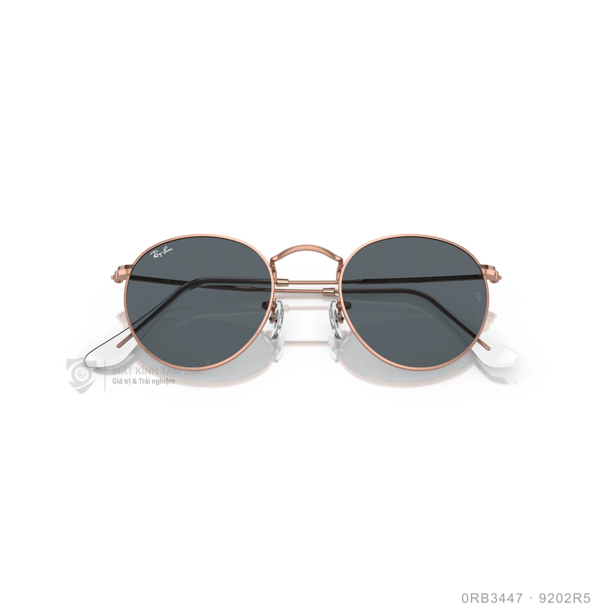 Kính mát Rayban 0RB3447 - Ảnh 98