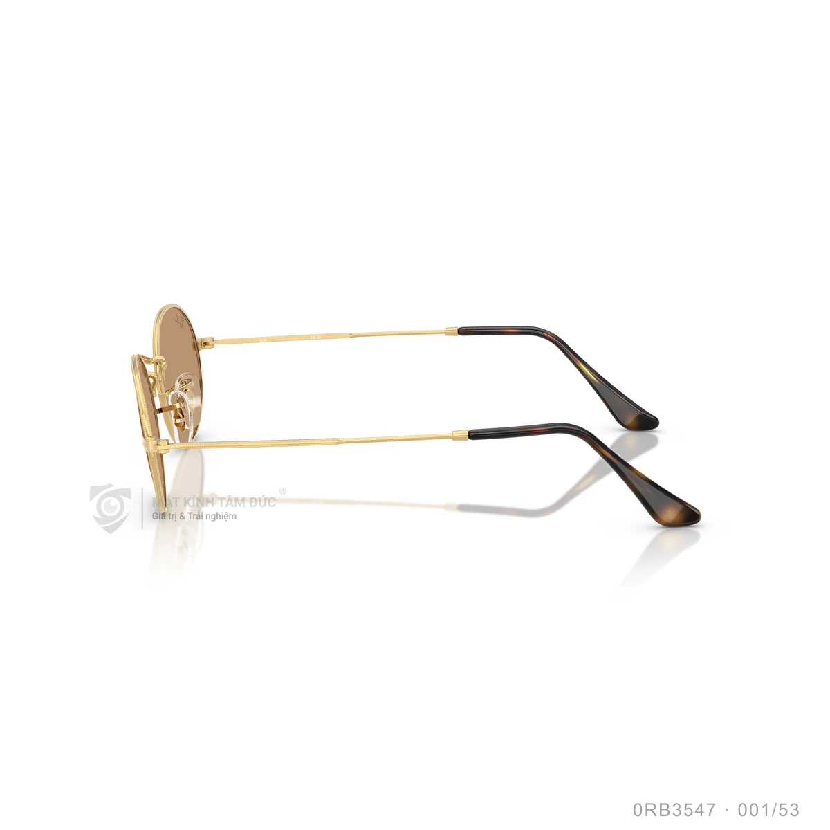 Kính mát Rayban 0RB3547 - Ảnh 29