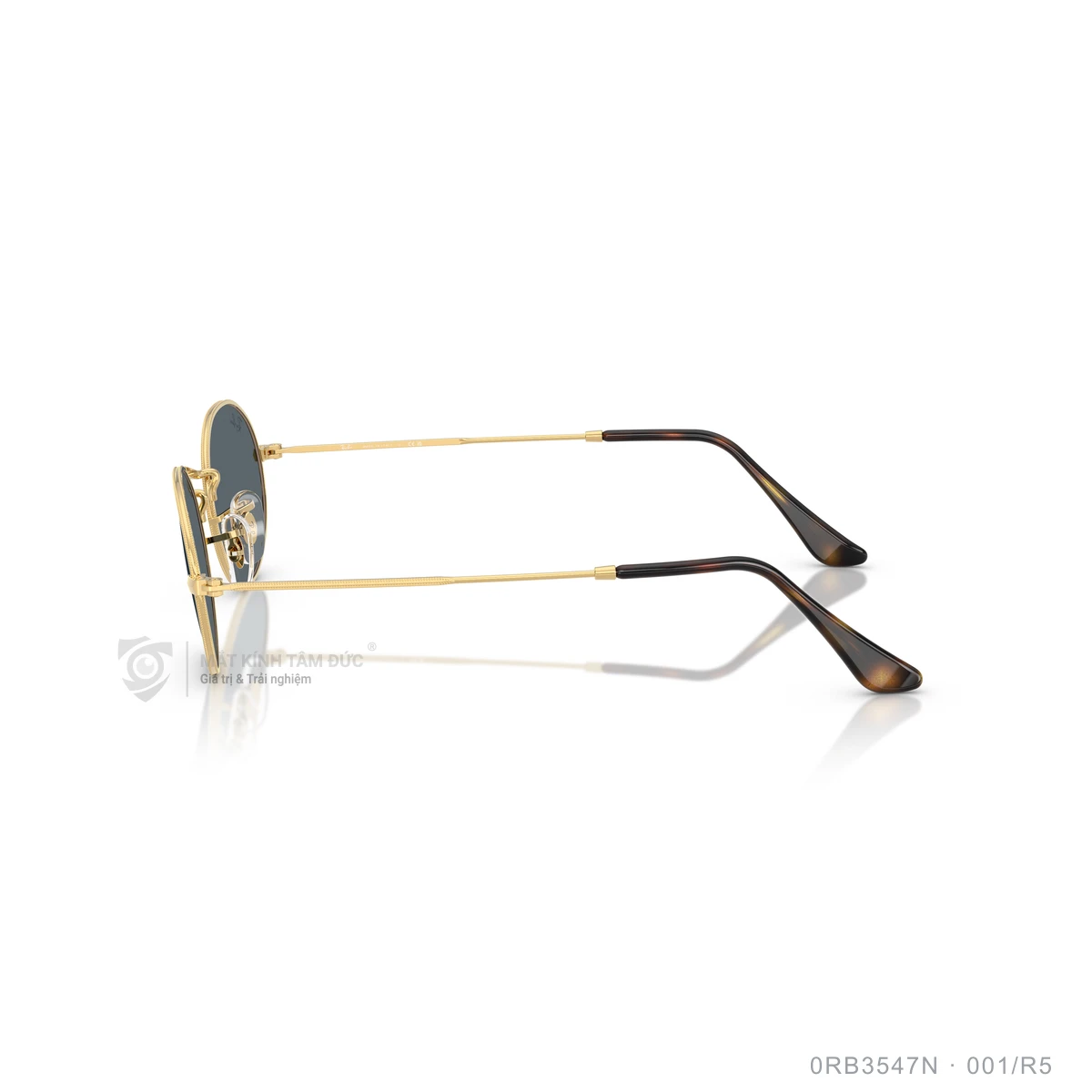 Kính mát Rayban 0RB3547N - Ảnh 29