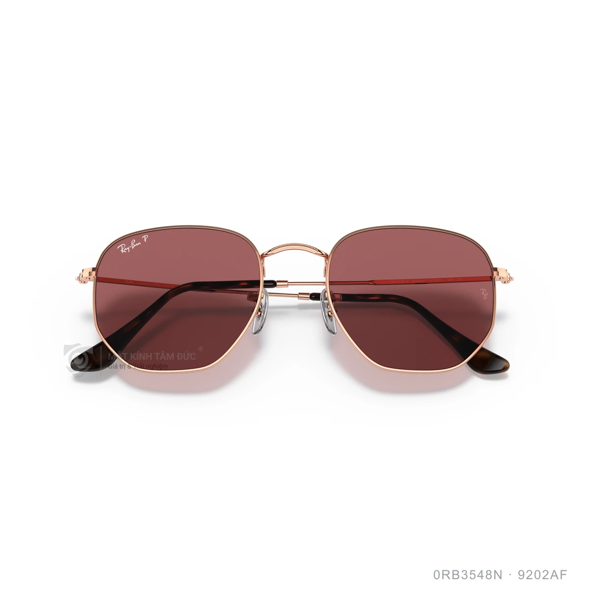 Kính mát Rayban 0RB3548N - Ảnh 78