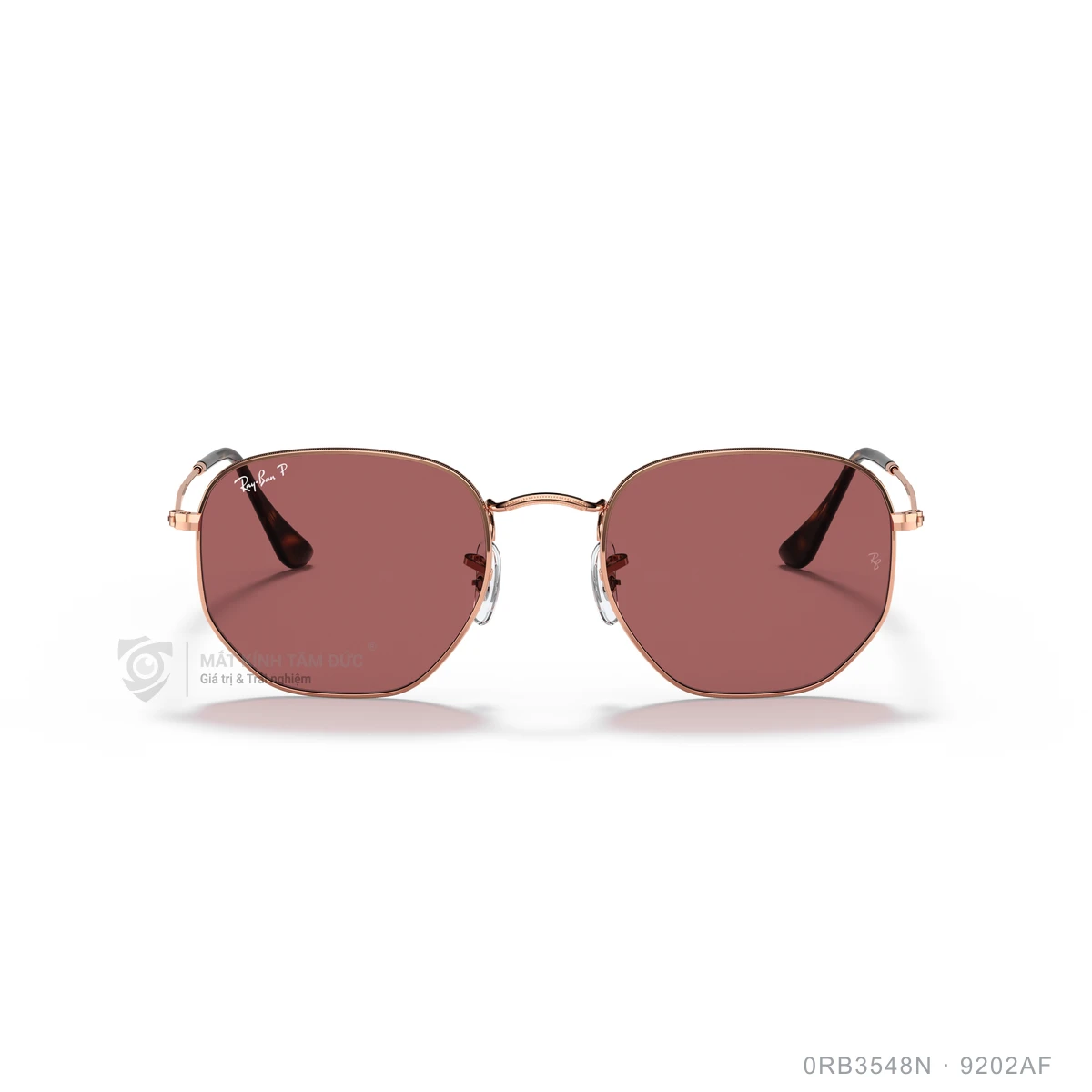 Kính mát Rayban 0RB3548N - Ảnh 76
