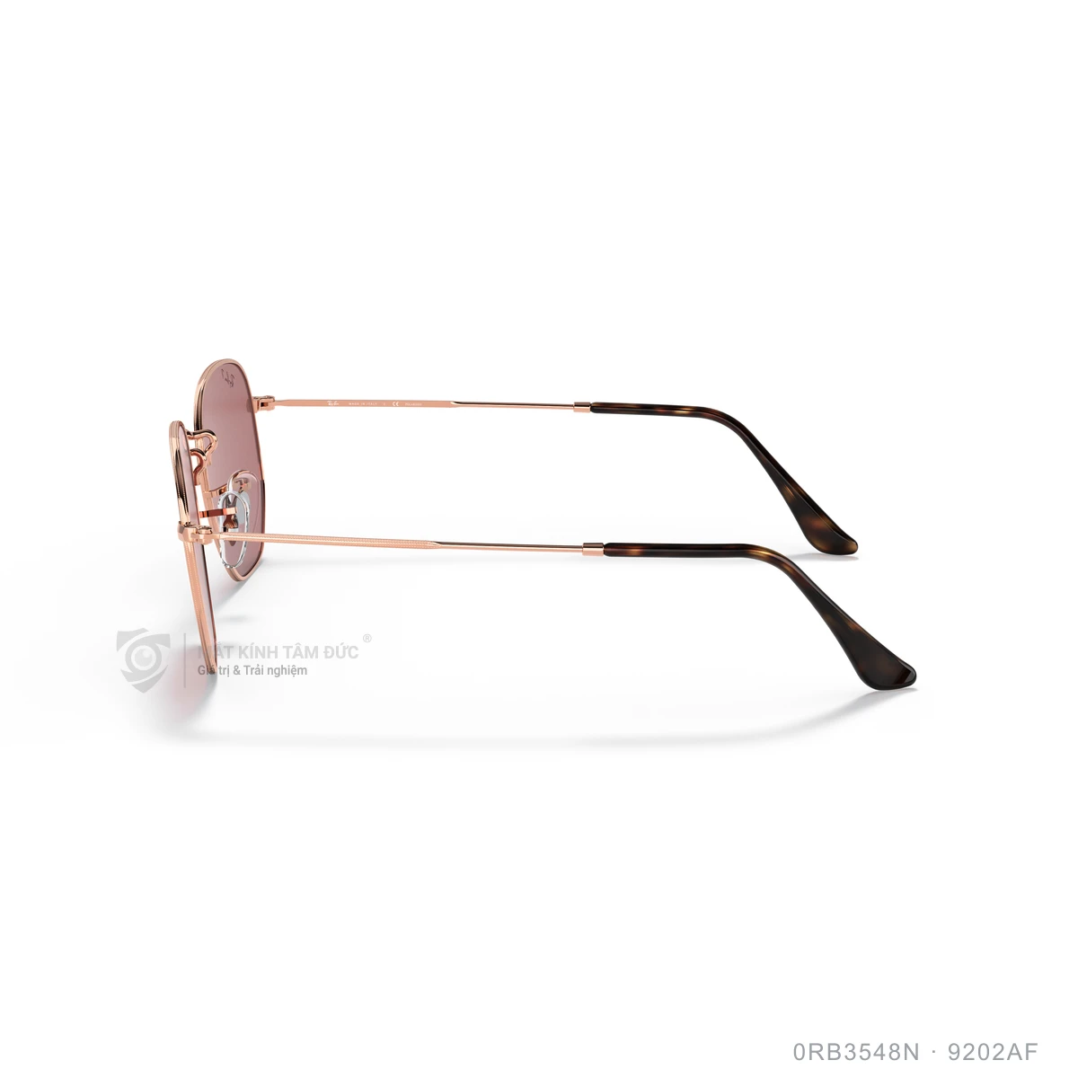 Kính mát Rayban 0RB3548N - Ảnh 79
