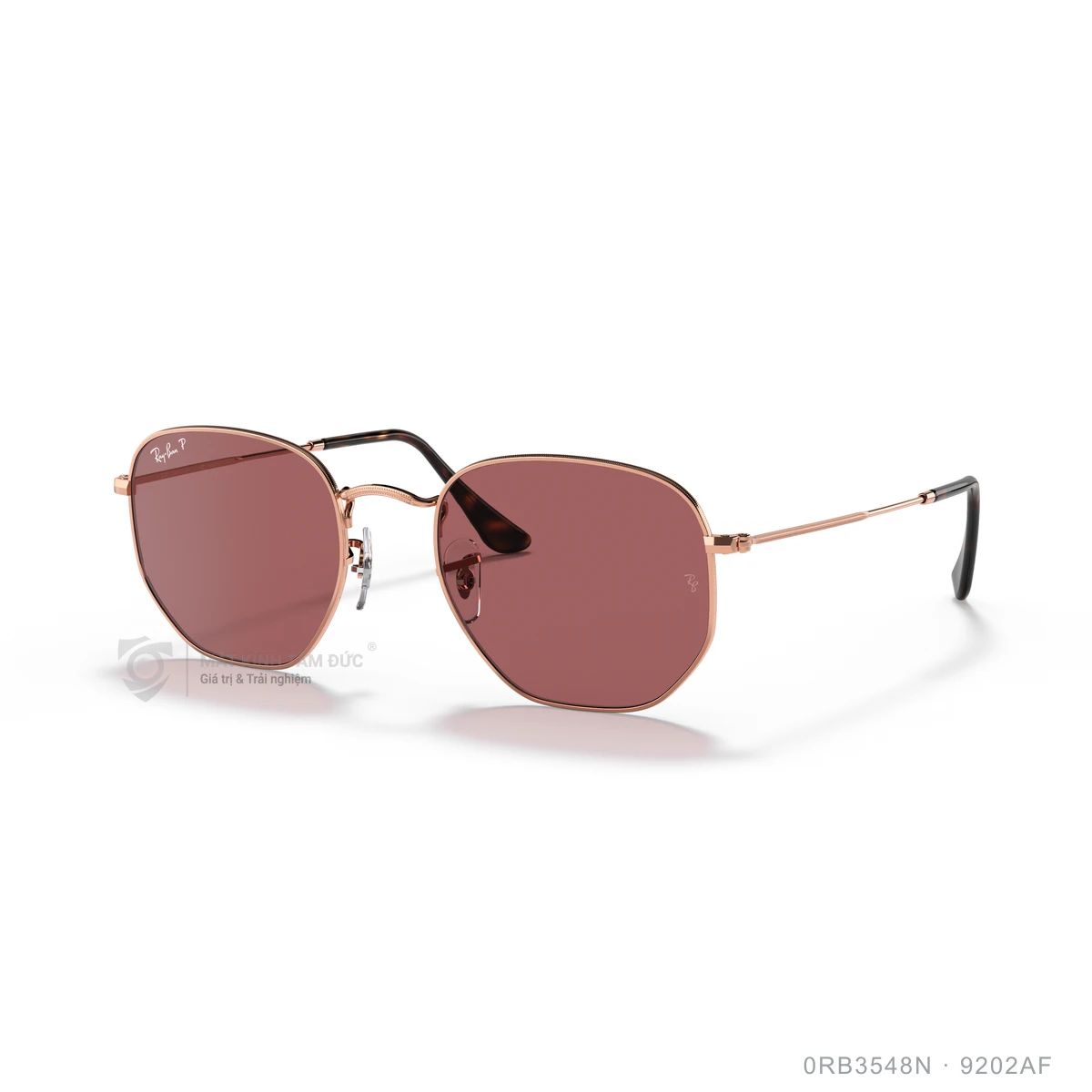 Kính mát Rayban 0RB3548N - Ảnh 77