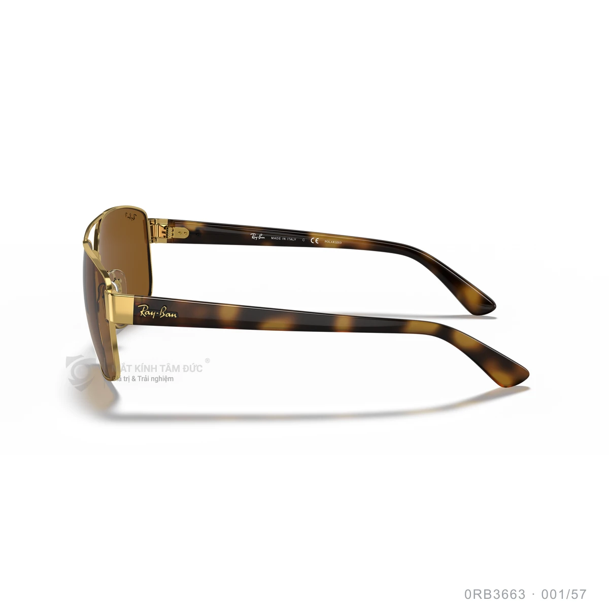 Kính mát Rayban 0RB3663 - Ảnh 9