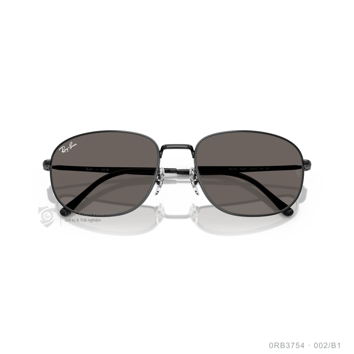 Kính mát Rayban 0RB3754 - Ảnh 8