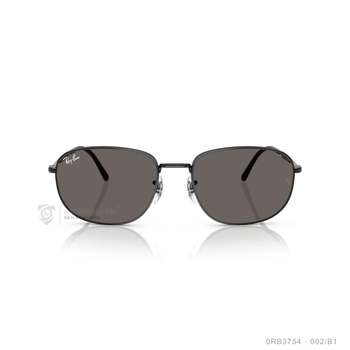 Kính mát Rayban 0RB3754 - Ảnh 6