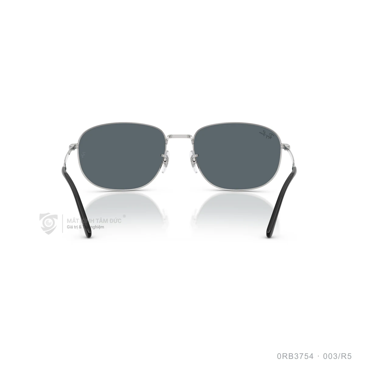 Kính mát Rayban 0RB3754 - Ảnh 15