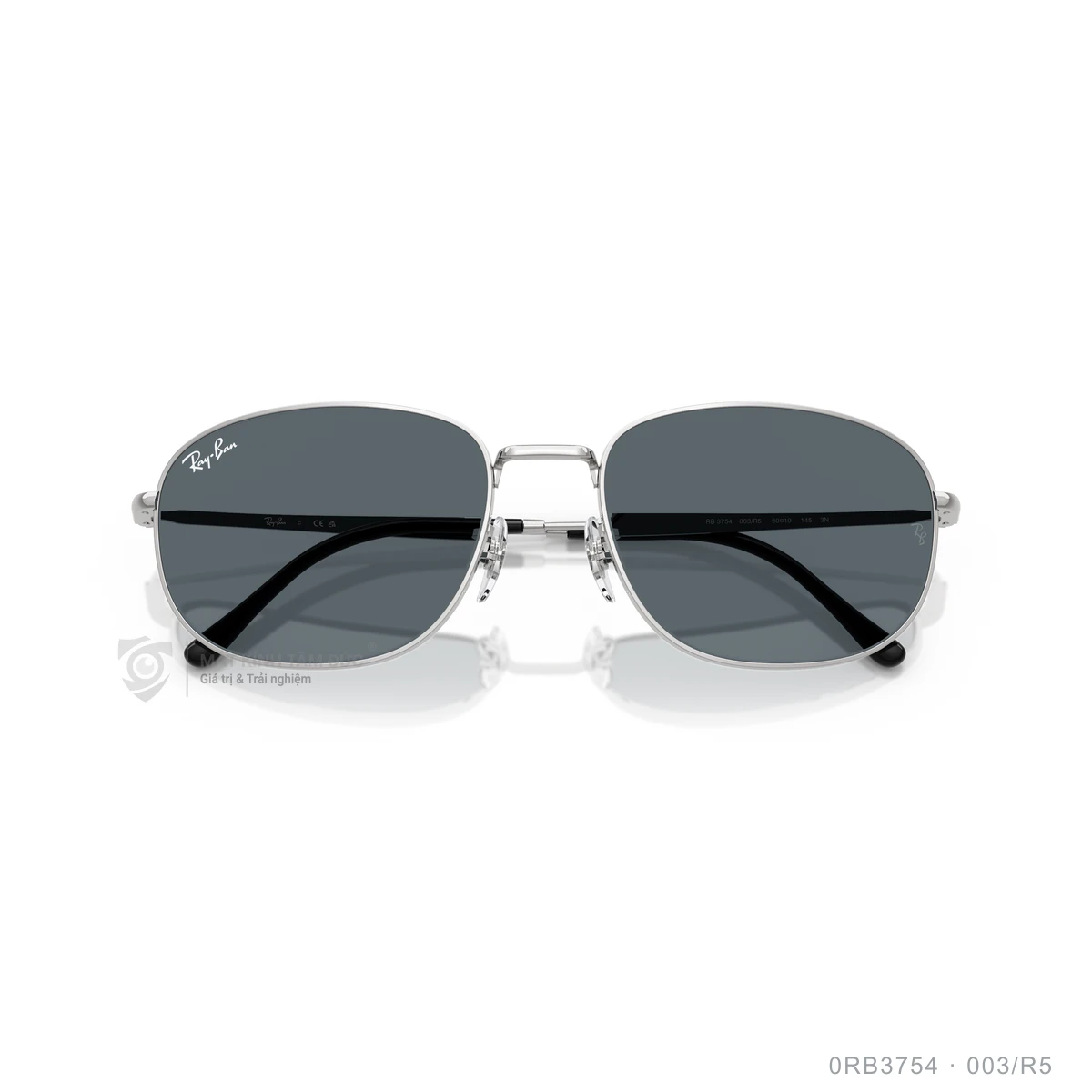 Kính mát Rayban 0RB3754 - Ảnh 13
