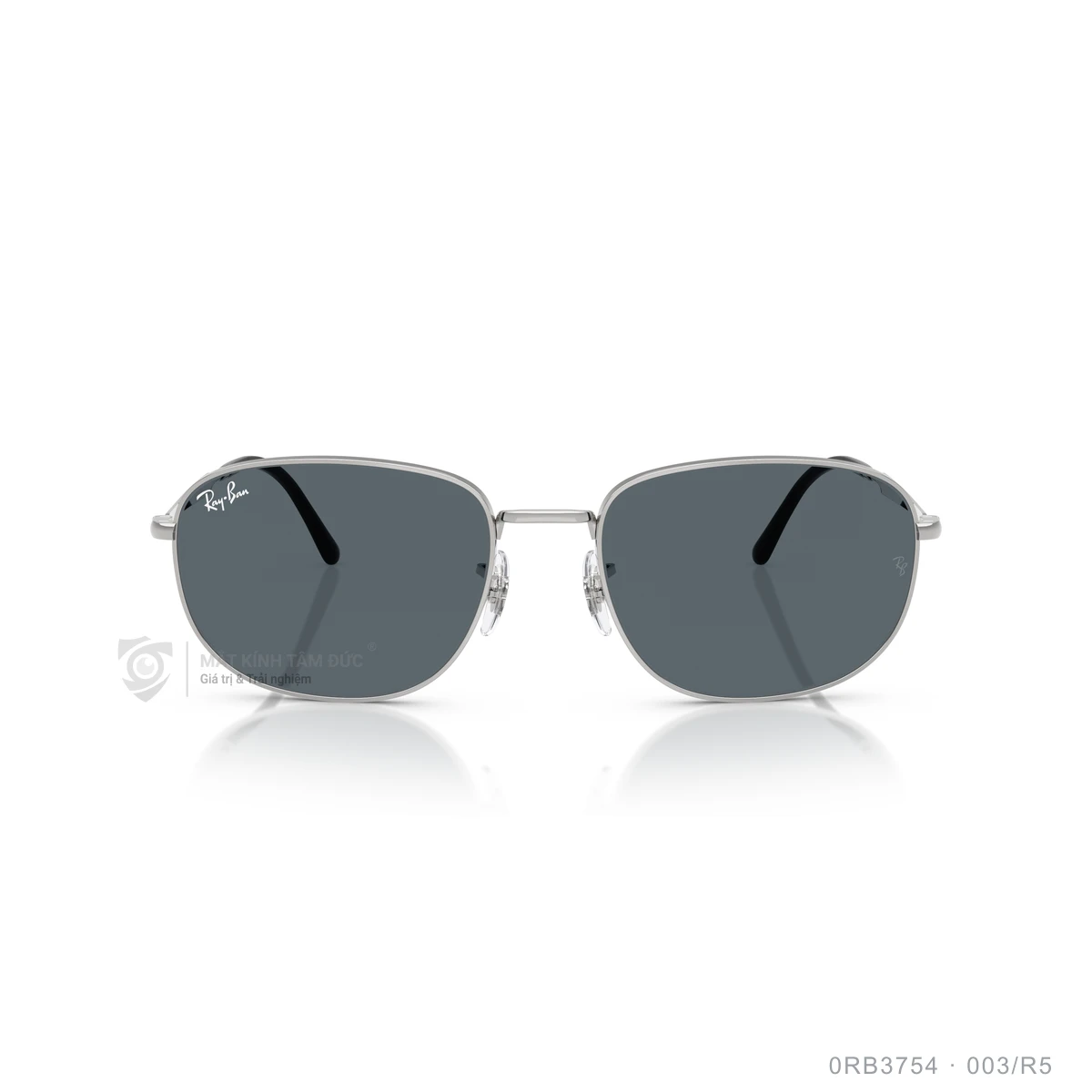Kính mát Rayban 0RB3754 - Ảnh 11