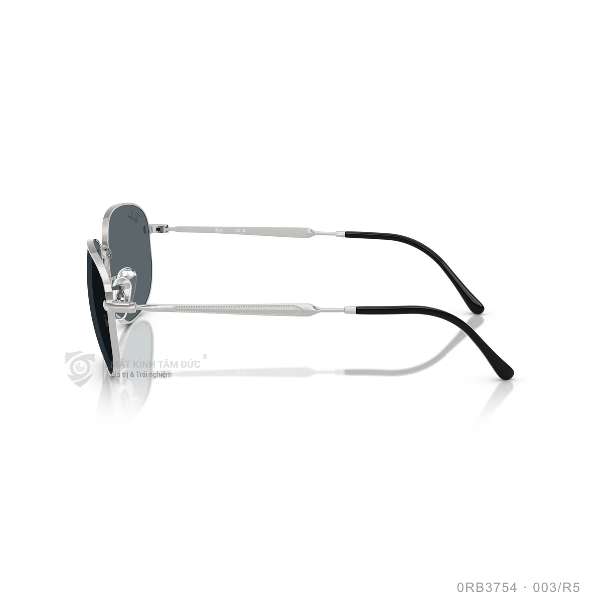 Kính mát Rayban 0RB3754 - Ảnh 14