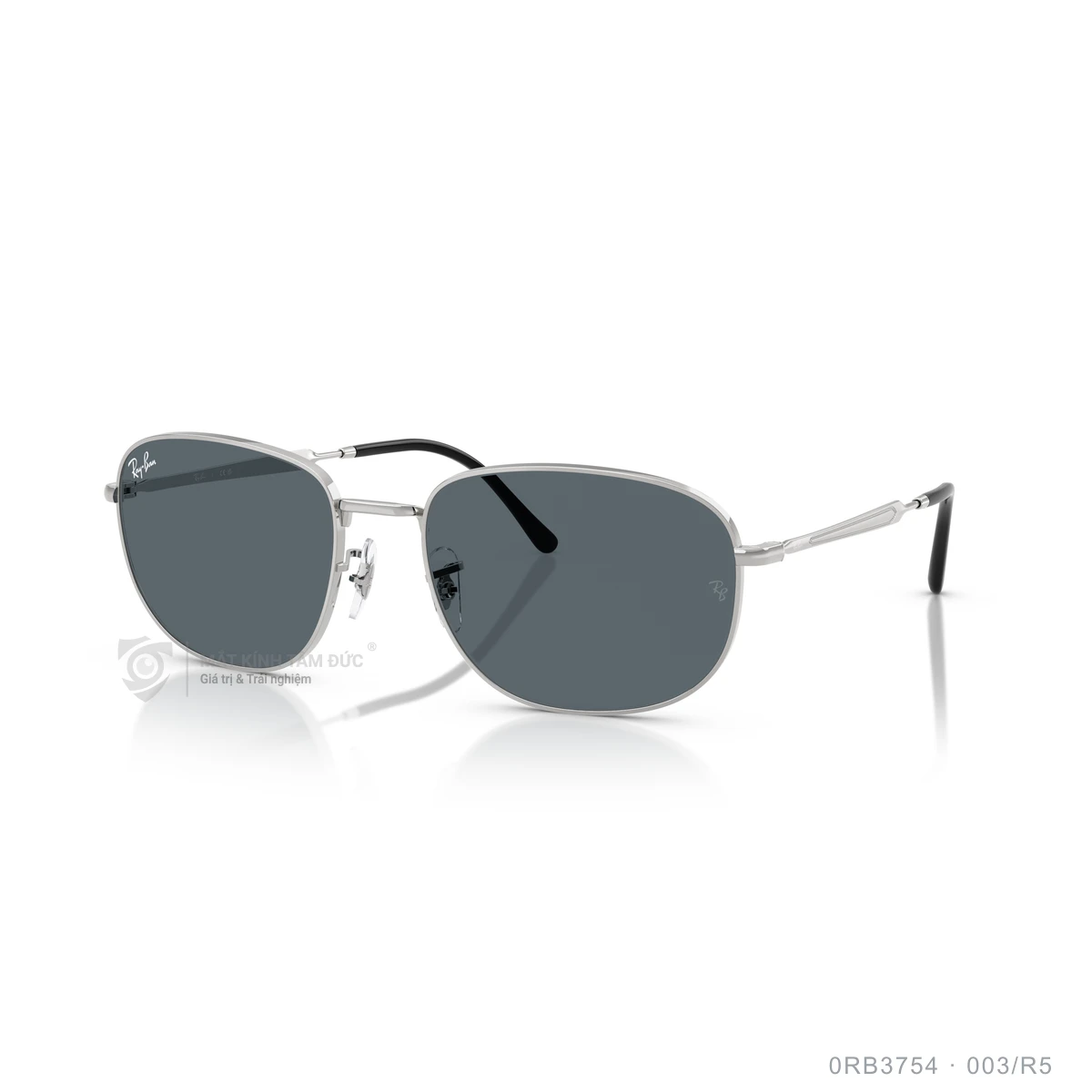 Kính mát Rayban 0RB3754 - Ảnh 12