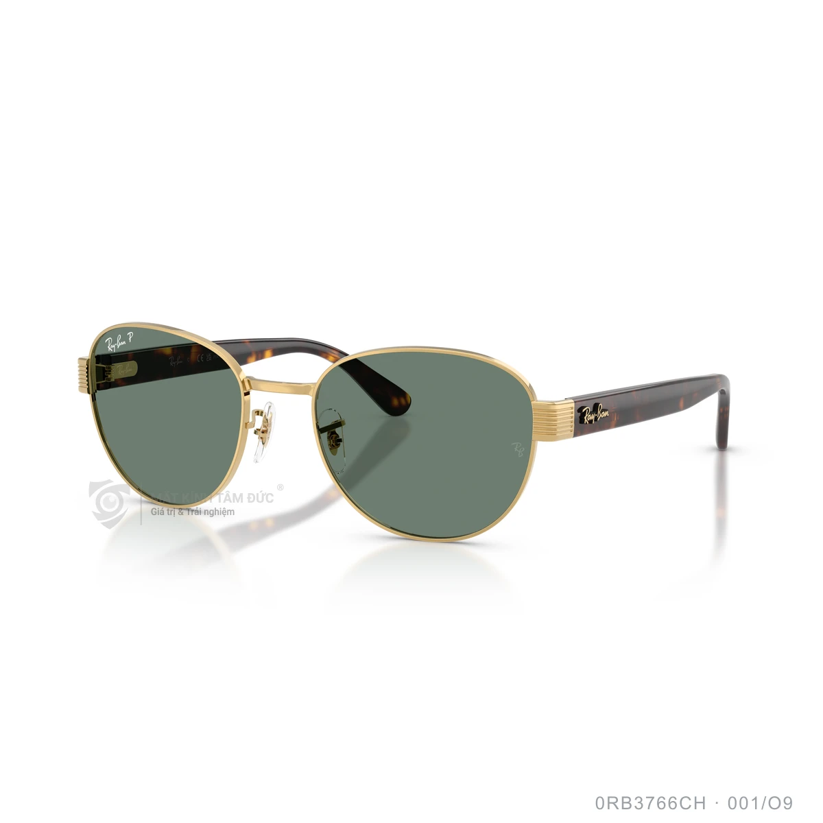 Chi tiết góc nghiêng Kính mát Rayban 0RB3766CH