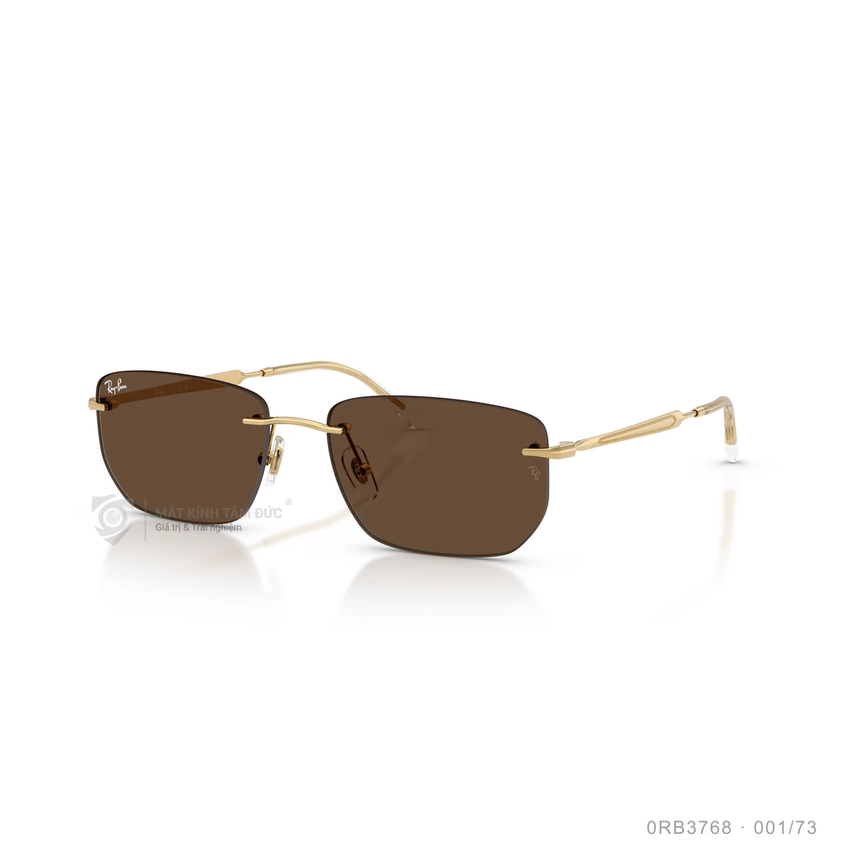 Chi tiết góc nghiêng Kính mát Rayban 0RB3768