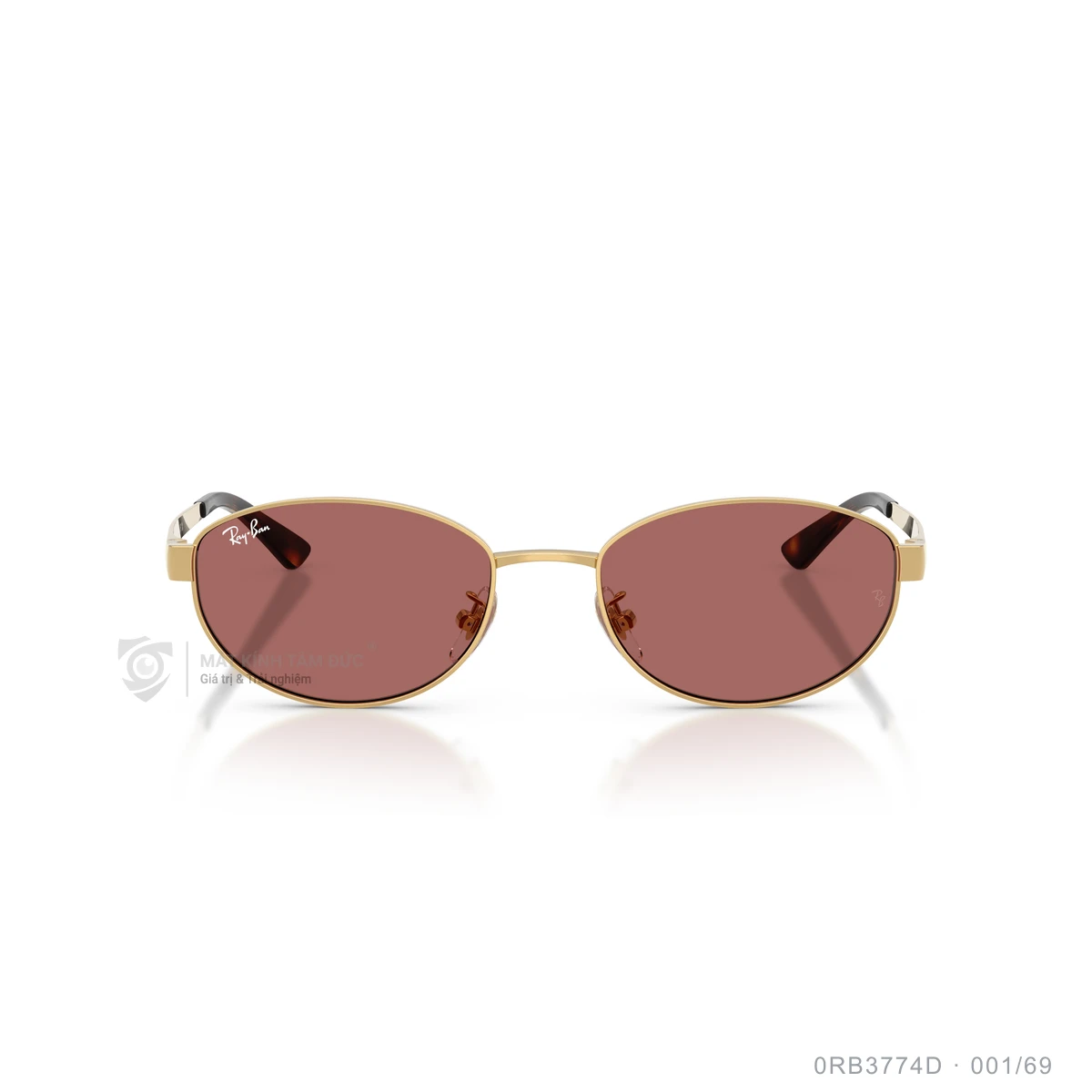Kính mát Rayban 0RB3774D - Ảnh 11