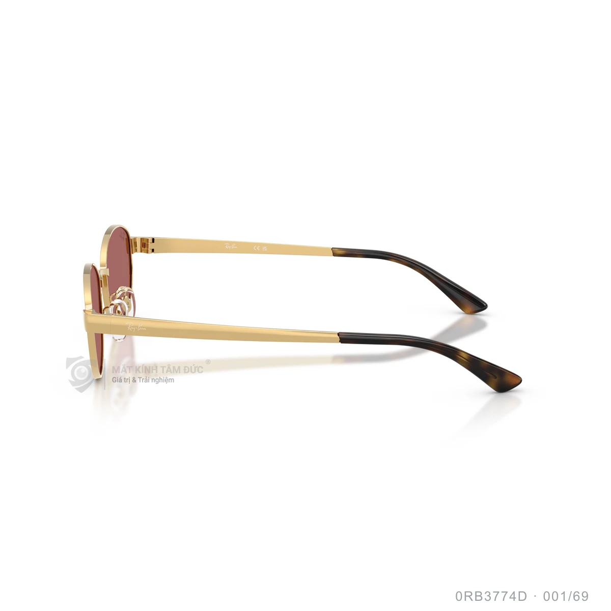Kính mát Rayban 0RB3774D - Ảnh 14