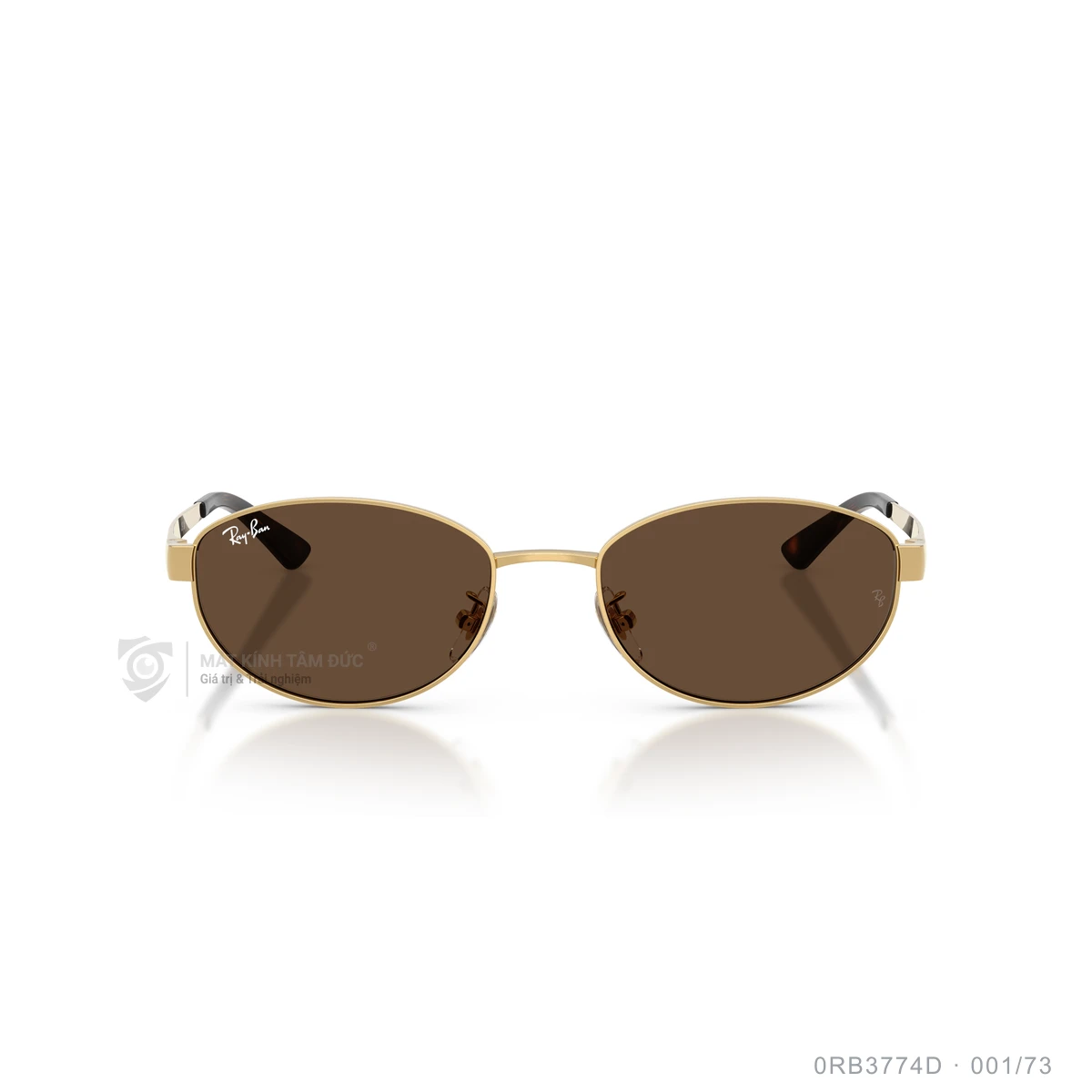 Kính mát Rayban 0RB3774D - Ảnh 26