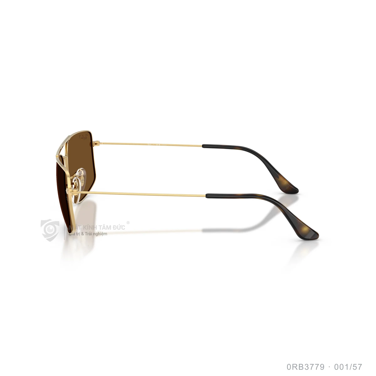 Kính mát Rayban 0RB3779 - Ảnh 14