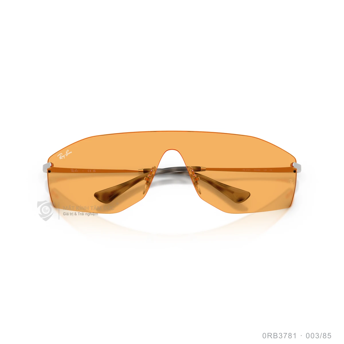 Kính mát Rayban 0RB3781 - Ảnh 8