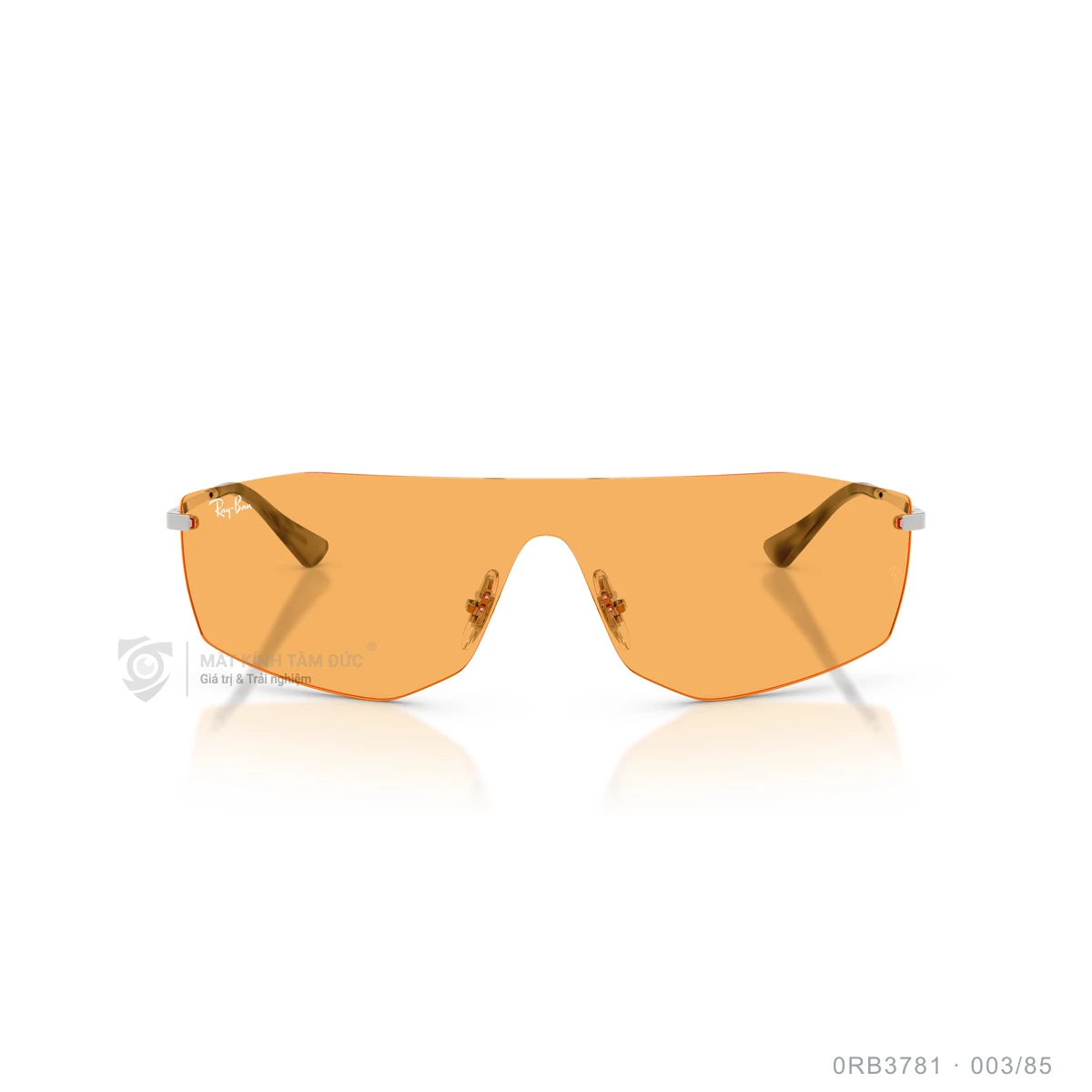 Kính mát Rayban 0RB3781 - Ảnh 6