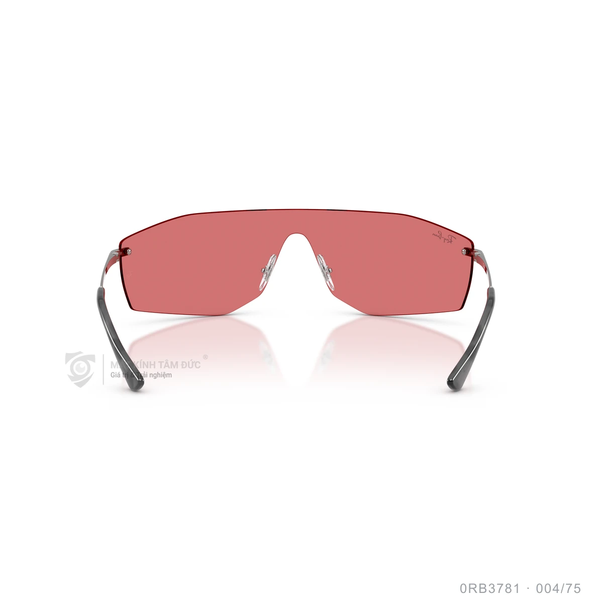 Kính mát Rayban 0RB3781 - Ảnh 20