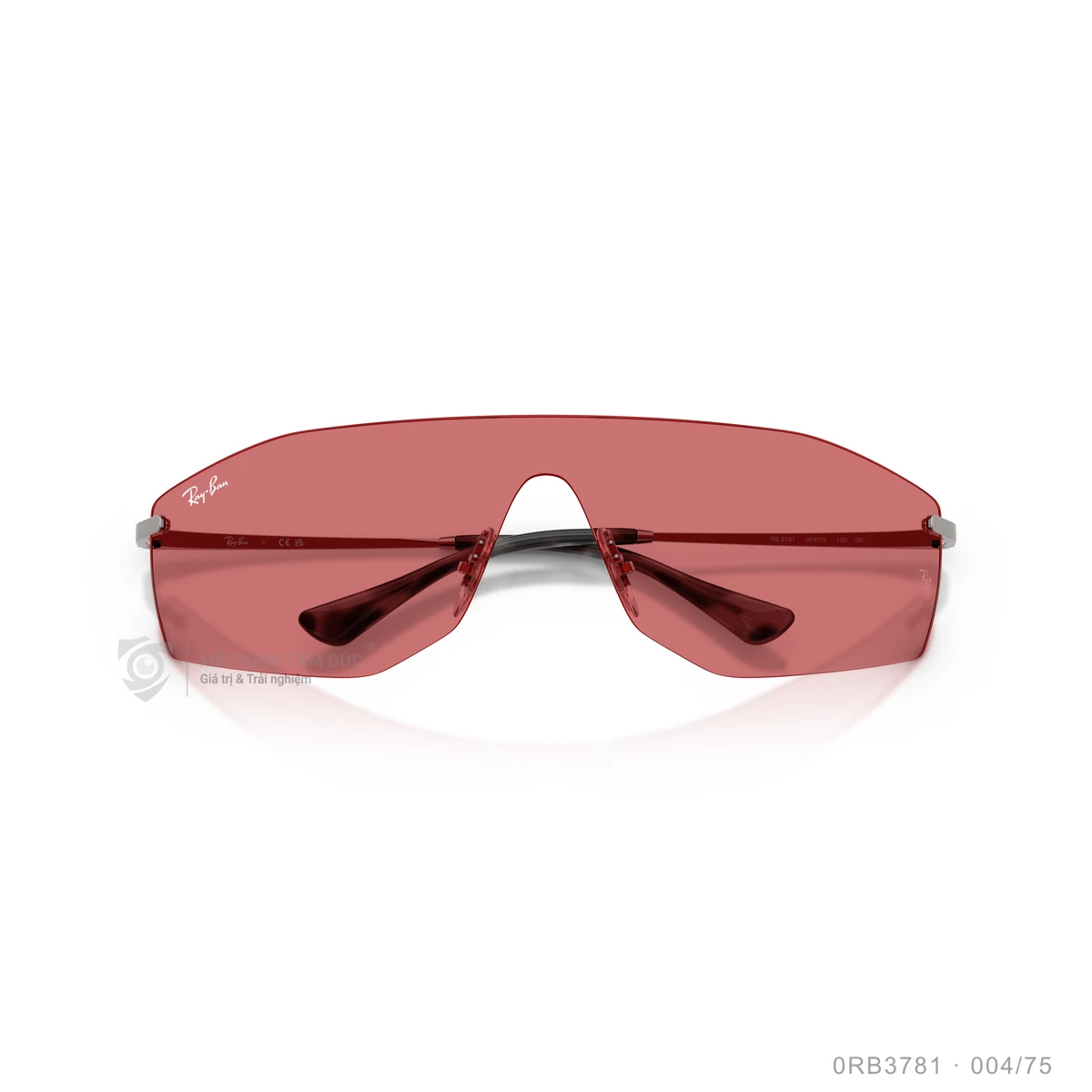 Kính mát Rayban 0RB3781 - Ảnh 18