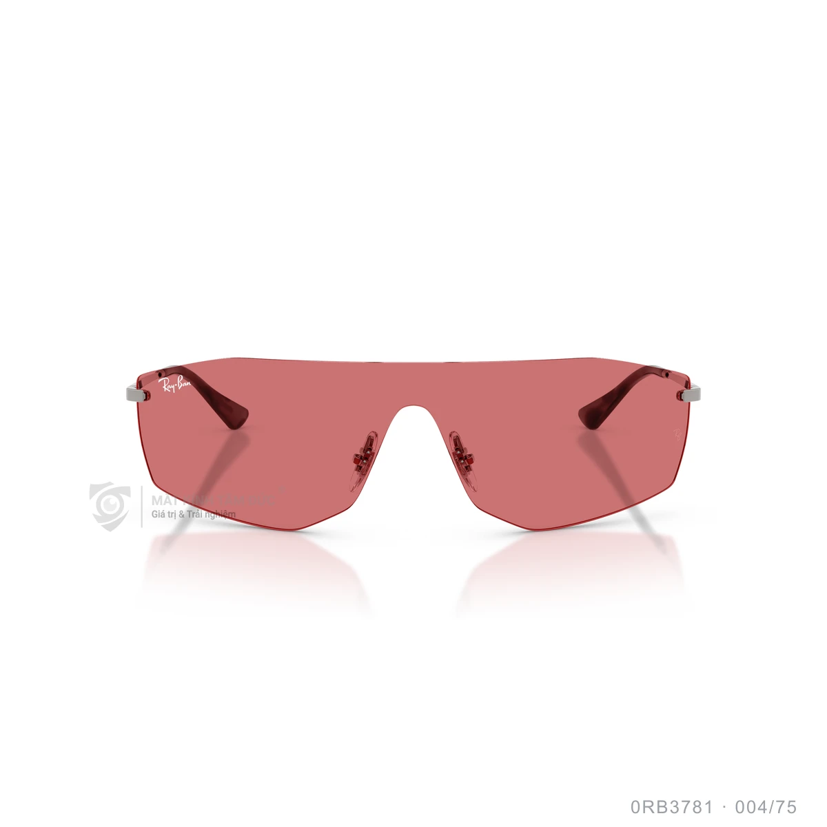Kính mát Rayban 0RB3781 - Ảnh 16